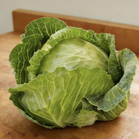 Danish Ballhead, Cabbage Seeds - Packet image number null